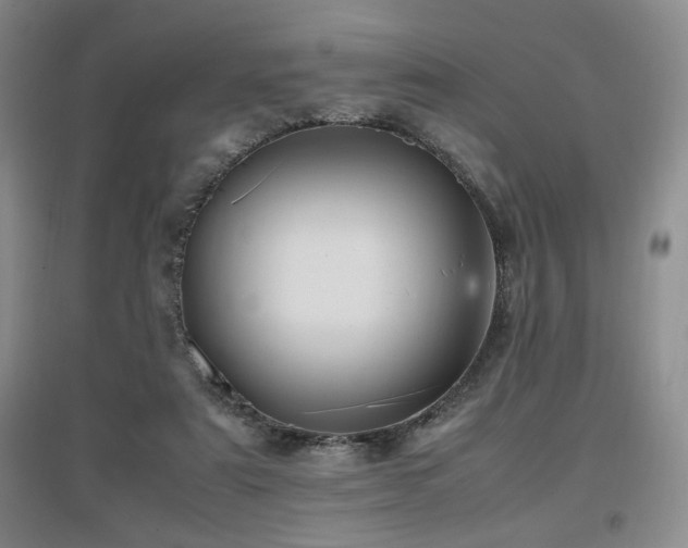 X0000097660307200802291433