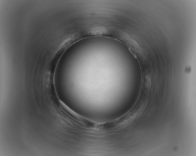 X0000097660308200802291433