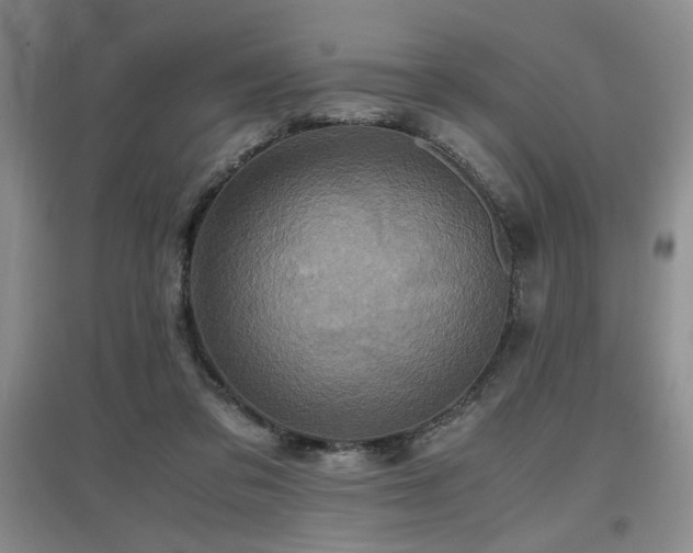 X0000097660309200802291433