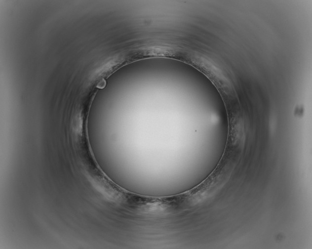 X0000097660310200802291433