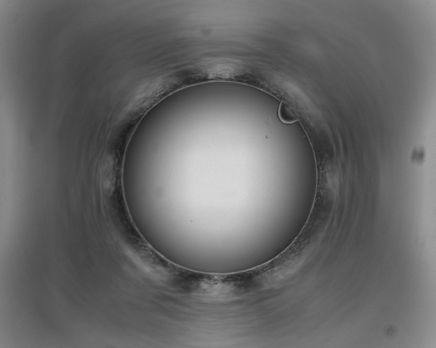 X0000097660311200802291433