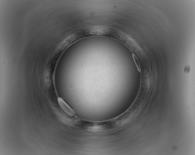 X0000097660312200802291433