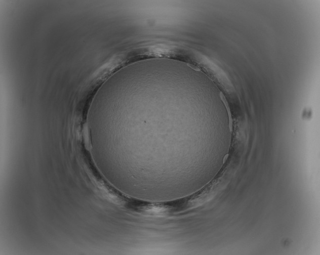 X0000097660313200802291433