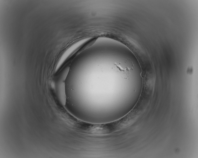X0000097660315200802291433