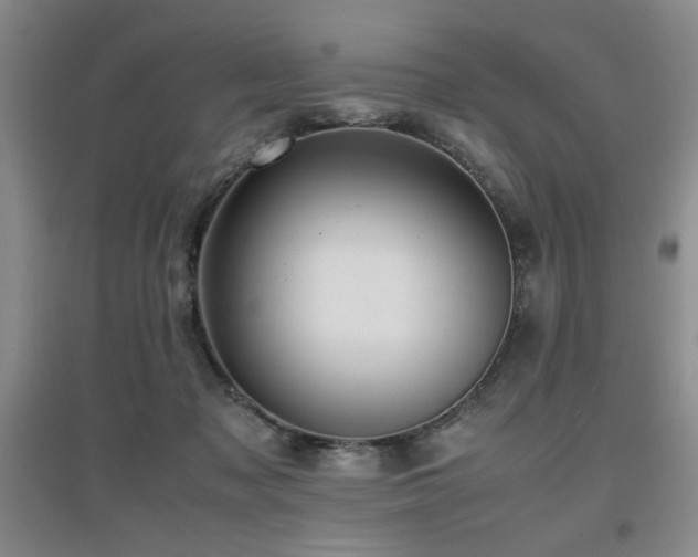 X0000097660317200802291433