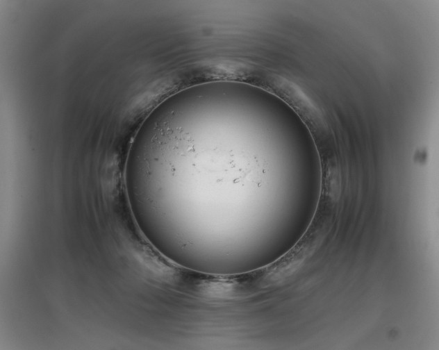 X0000097660318200802291433