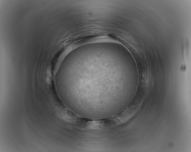 X0000097660320200802291433