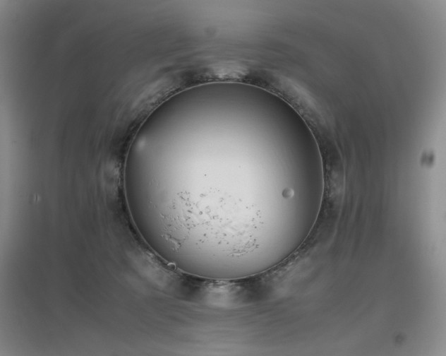 X0000097660321200802291433