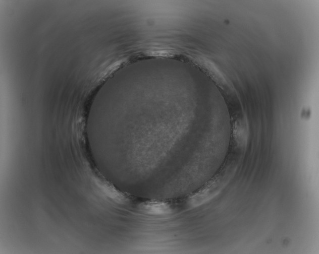 X0000097660322200802291433