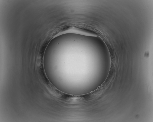 X0000097660323200802291433