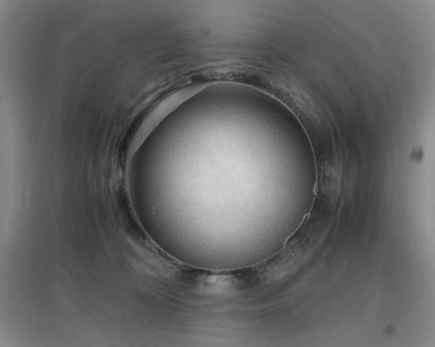 X0000097660324200802291433