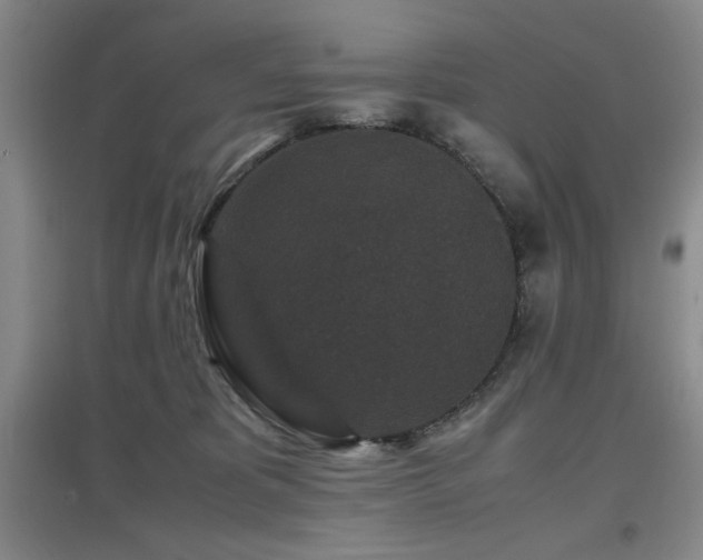X0000097660325200802291433