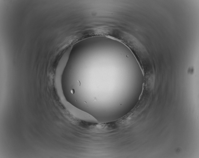 X0000097660329200802291432
