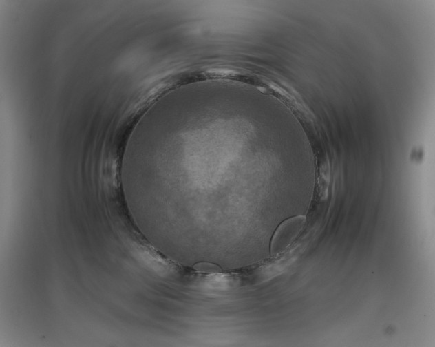 X0000097660330200802291432