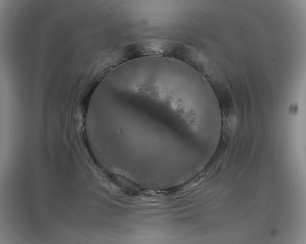 X0000097660331200802291432