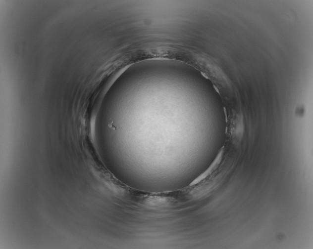 X0000097660332200802291432