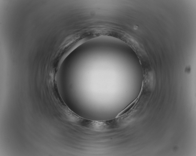 X0000097660333200802291432