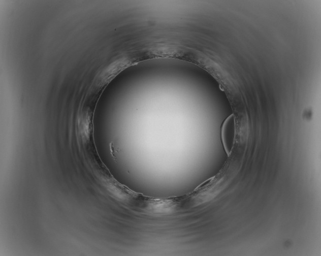 X0000097660334200802291432