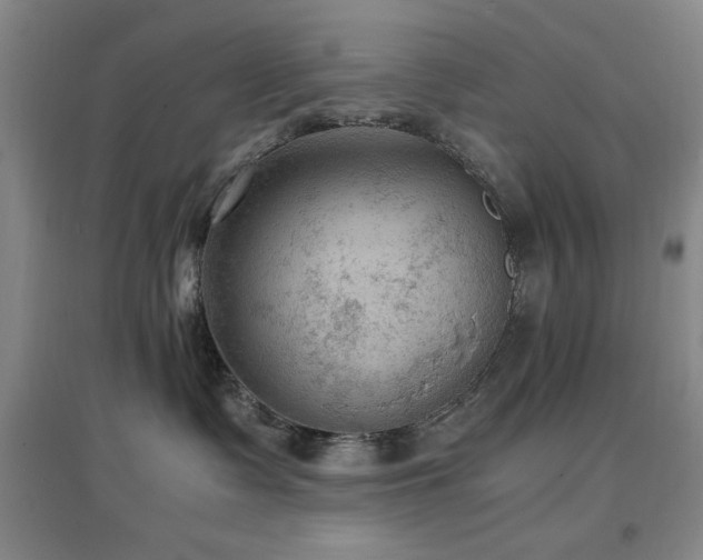 X0000097660335200802291432