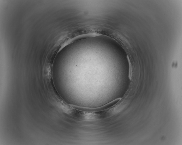 X0000097660336200802291432