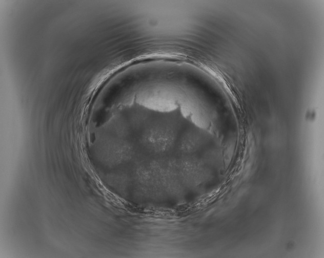 X0000097660337200802291432