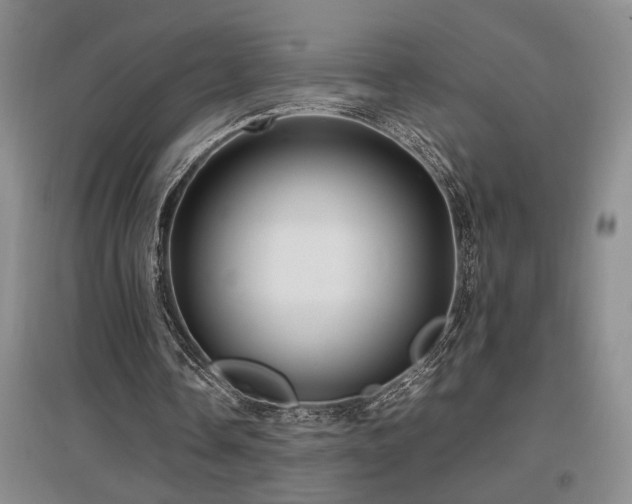 X0000097660338200802291432