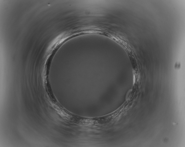 X0000097660339200802291432