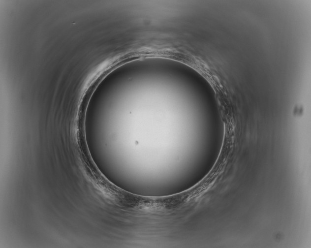 X0000097660340200802291432