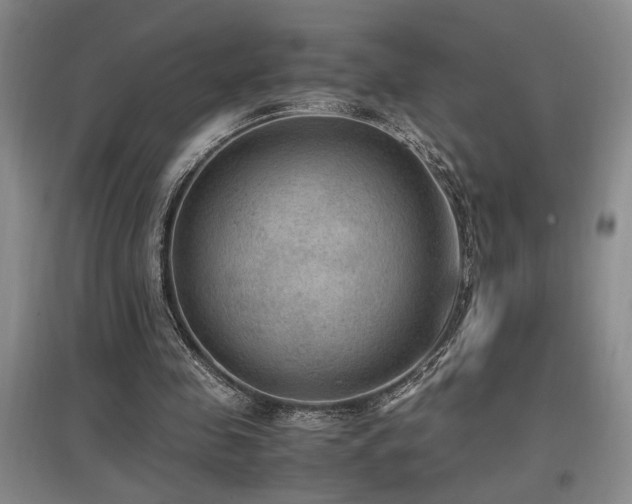 X0000097660341200802291432
