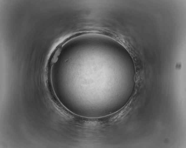 X0000097660342200802291432