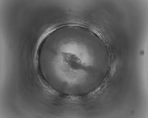 X0000097660343200802291432