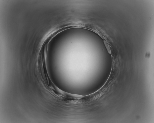 X0000097660344200802291432