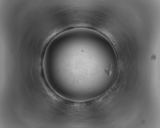 X0000097660345200802291432