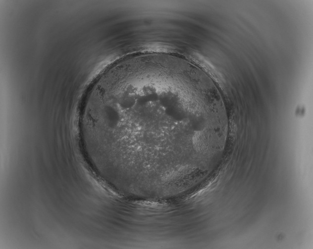 X0000097660347200802291432
