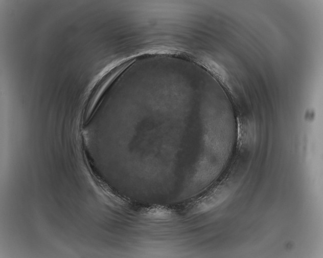 X0000097660348200802291432