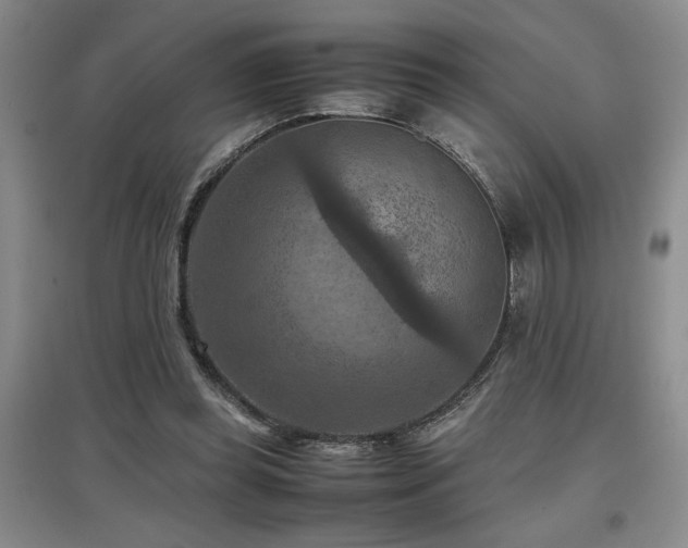 X0000097660349200802291432