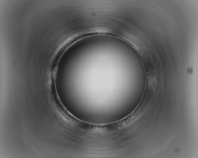 X0000097660350200802291432