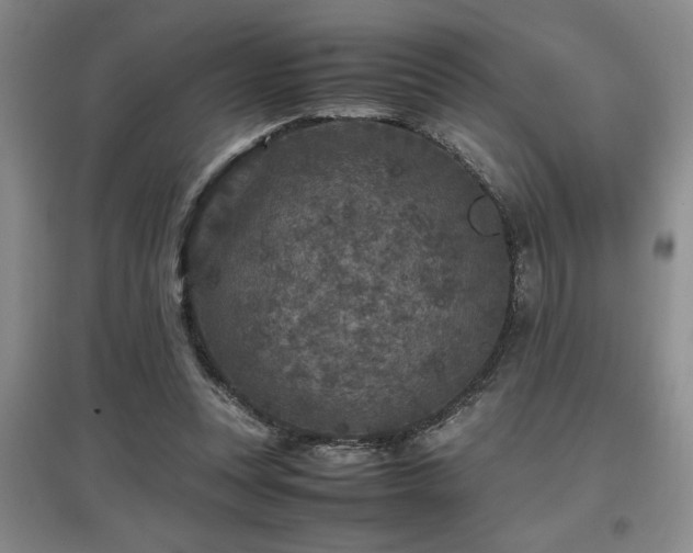 X0000097660351200802291432