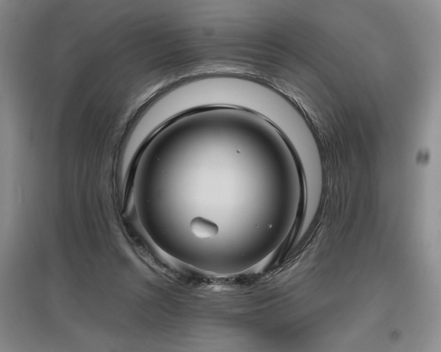 X0000097660352200802291432