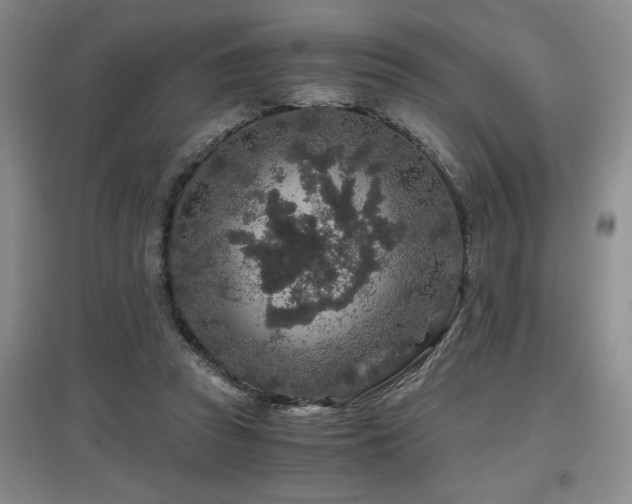 X0000097660353200802291432
