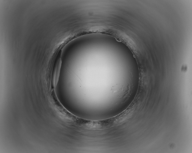 X0000097660354200802291432