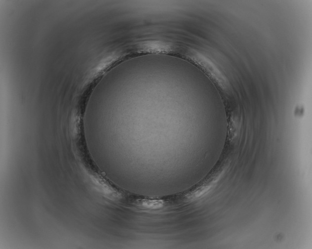 X0000097660355200802291432