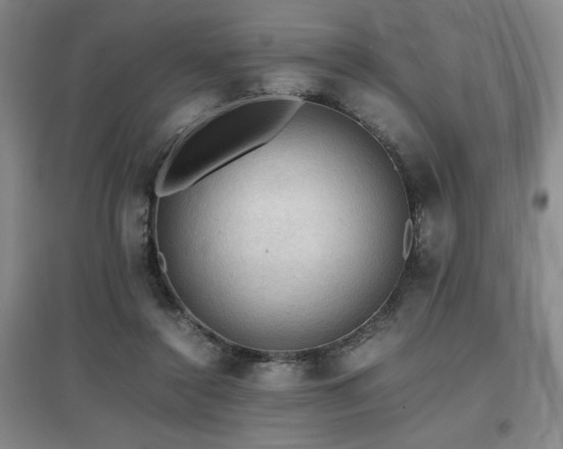 X0000097660356200802291432