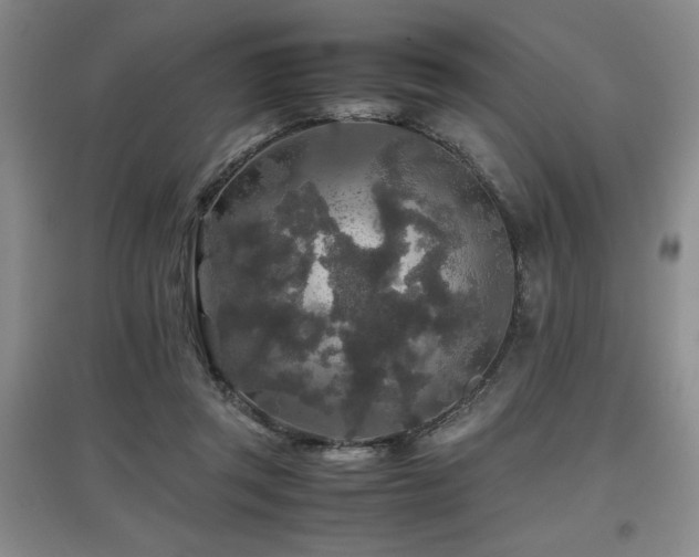 X0000097660357200802291432