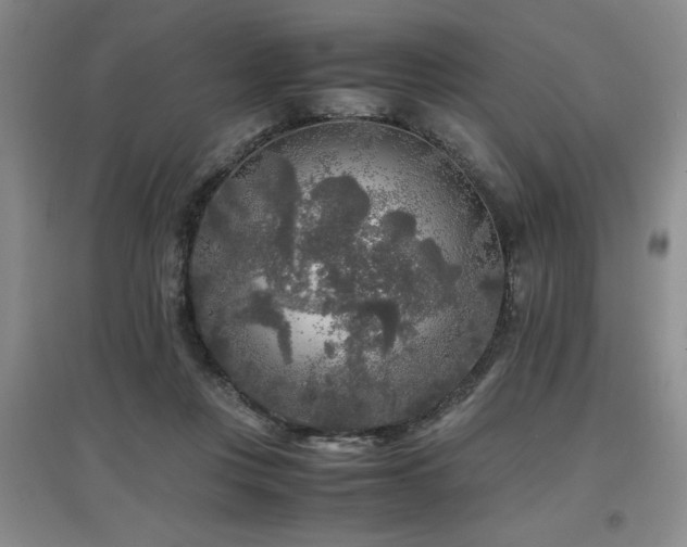 X0000097660359200802291432
