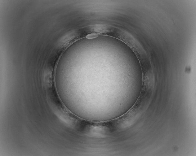X0000097660360200802291432