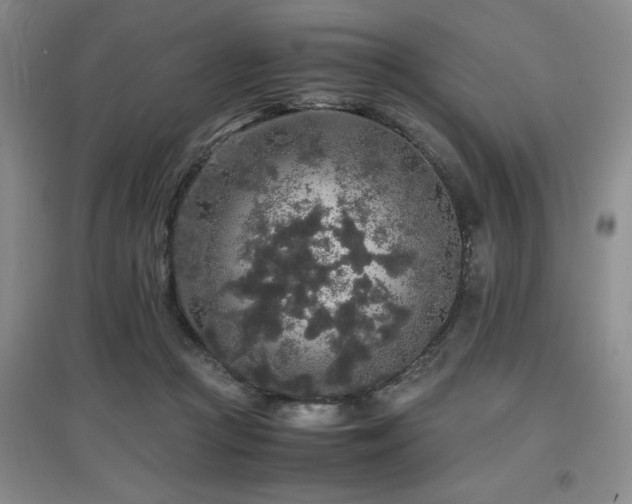X0000097660361200802291432