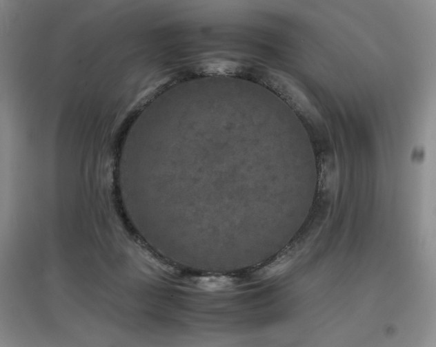 X0000097660363200802291432