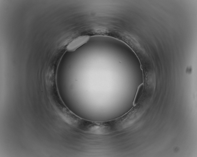 X0000097660364200802291432