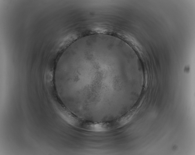 X0000097660365200802291432